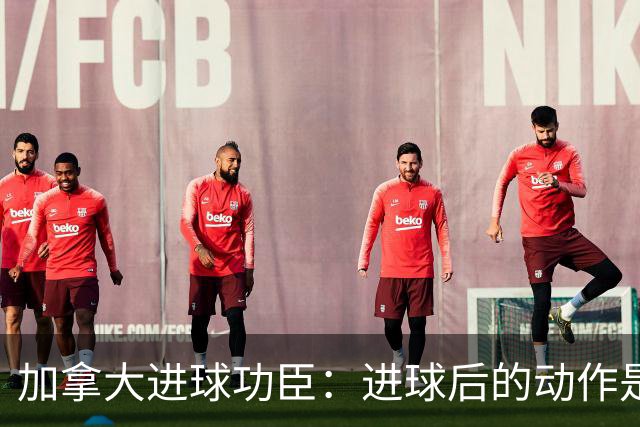 加拿大进球功臣：进球后的动作是给质疑我的媒体，他们可以闭嘴了